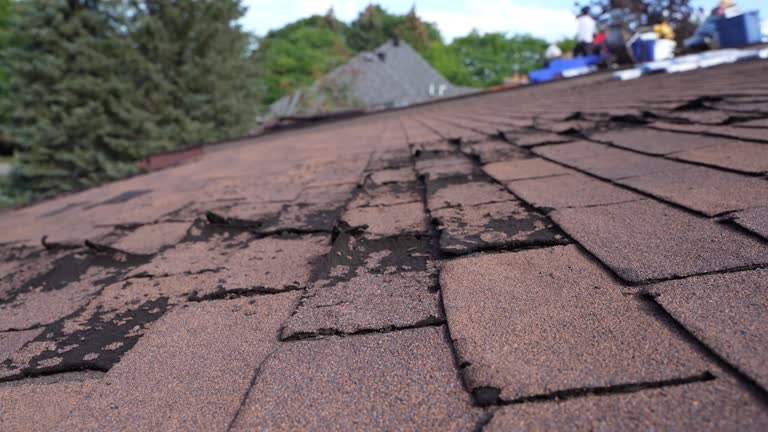 Best Roof Leak Repair  in Ravenna, OH